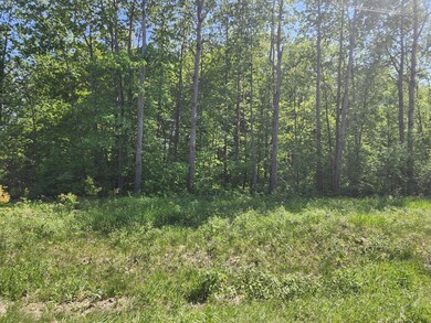 20849 Fitz Rd, Burnhamville Township, MN 56318 - photo 7