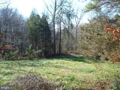 19356 Murphy Ln, Ruther Glen, VA 22546 - photo 4