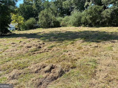 2363 Alvin Joiner Rd, Dublin, GA 31021 - photo 4