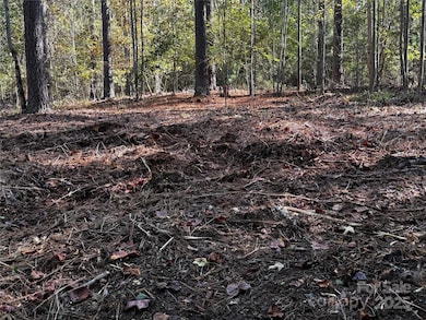 00 Hayes Mill Rd unit A-1, Granite Falls, NC 28630 - photo 4