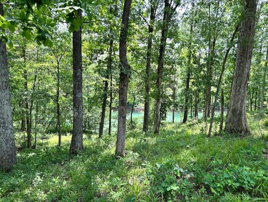 0 Anchor Bend Dr unit RTC2904354, Rock Island, TN 38581 - photo 2