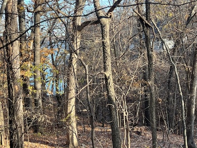 0 Vinita Cir unit 24-1384, Monkey Island, OK 74331 - photo 2