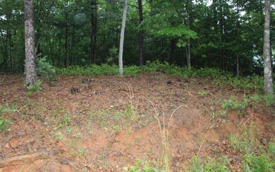 Additional View