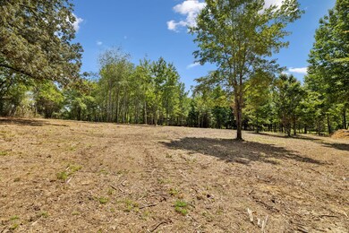 2611 Highway 48 S, Dickson, TN 37055 - photo 6