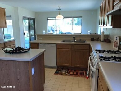 Kitchen views to the backyard