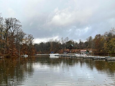 View from the North Dock