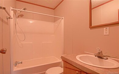 50 Ramona Dr, Leicester, NC 28748 - photo 6