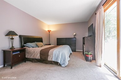 522 Fessler Ave, Naperville, IL 60565 - photo 7