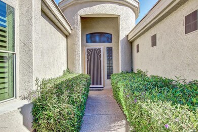 0003-Coronado (4)
