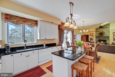 5213 Hillmont Ct, Ellicott City, MD 21043 - photo 4