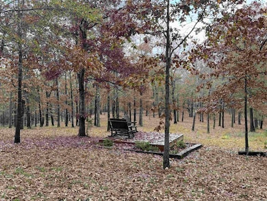 110 Shady Thicket Ln, Little Rock, AR 72204 - photo 6