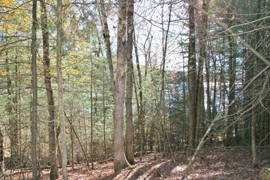 81 Covered Bridge Dr, Hawley, PA 18428 - photo 6