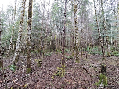 0 Lot 4 W Elk Hill Rd, Elma, WA 98541 - photo 2