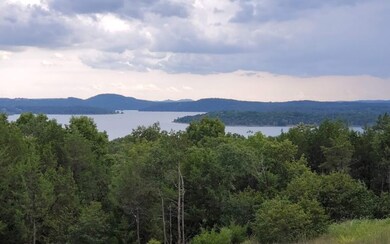 Lot 242 Silver Sunset Ln, Ruth B Rural Township, MO 65686 - photo 5