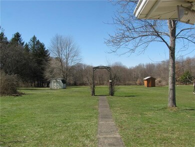 Large rear yard