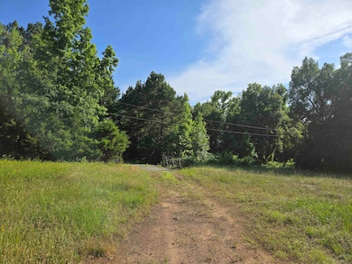 0 Tbd Private Road 4079, Gilmer, TX 75644 - photo 4