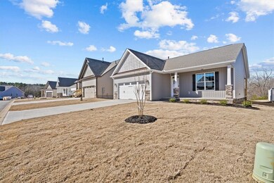 167 Capslock Trail, Pendleton, SC 29670 - photo 6