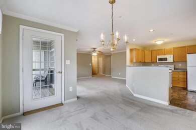 2504 Shelley Cir unit 4-2D, Frederick, MD 21702 - photo 5