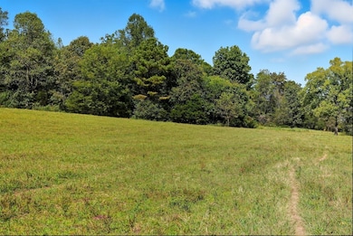 0 Jenkins Rd, Sparta, TN 38583 - photo 4