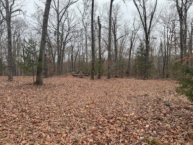 Lot 1 Waterfront 1, Shell Knob, MO 65747 - photo 4