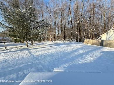 6820 Richard Rd, Lansing, MI 48911 - photo 4