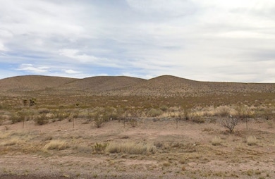 Quarter Horse Run, Sierra Blanca, TX 79851 - photo 4