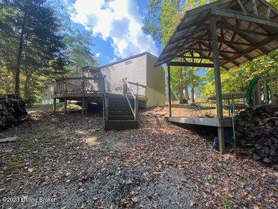 back yard