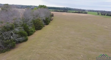 Drone / aerial view featuring a rural view