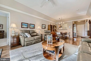 7305 Brookview Rd unit 104, Elkridge, MD 21075 - photo 6