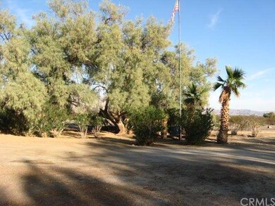 Lots of mature vegetation surround property