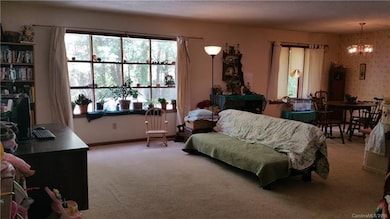 676 Sugarloaf Rd unit 1, Hendersonville, NC 28792 - photo 4