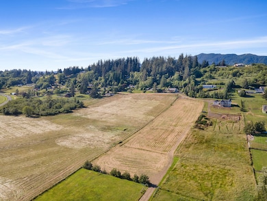 DJI_0036