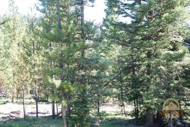 TBD Settler's Loop, Big Sky, MT 59716 - photo 3