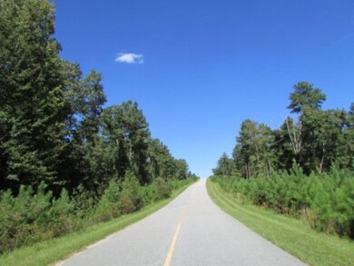 2 Fox Creek Dr, Haddock, GA 31033 - photo 4