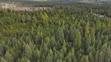 14506 Moonlight Ln, Newport, WA 99156 - photo 2