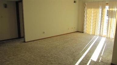 11045 S Theresa Cir unit 1B, Palos Hills, IL 60465 - photo 5