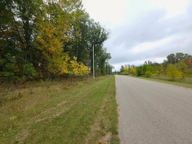 V/L N, Roscommon, MI 48653 - photo 5