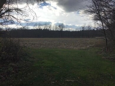 32155 Fillmore Rd, New Carlisle, IN 46552 - photo 3