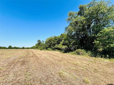 1 Pecan Rd, Troy, TX 76579 - photo 6