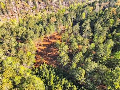 002 Swan Bridge Rd, Talking Rock, GA 30175 - photo 4