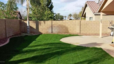 Backyard best