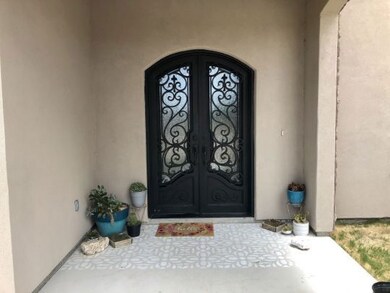 Beautiful front doors