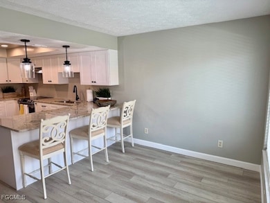 4210 SE 19th Ave unit 1E, Cape Coral, FL 33904 - photo 2