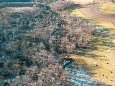 000 Tbd Lycurgus Rd, Waukon, IA 52172 - photo 7