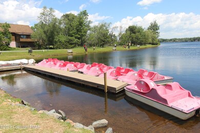Paddle Boat Rentals