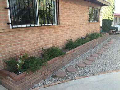 Front Plants