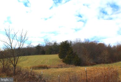 440 Mallow Cup Dr, Lahmansville, WV 26731 - photo 5