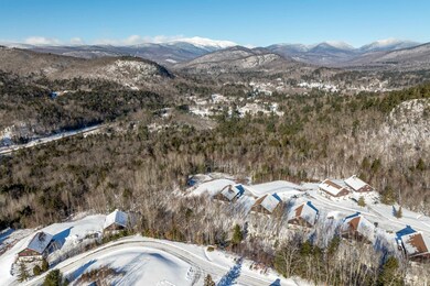 P61 Christmas Mountain Rd unit P61, Bartlett, NH 03845 - photo 3