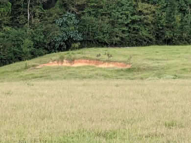 000 Conerly Dr, McComb, MS 39648 - photo 7