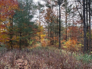 954 State Highway 9n, Keeseville, NY 12944 - photo 4